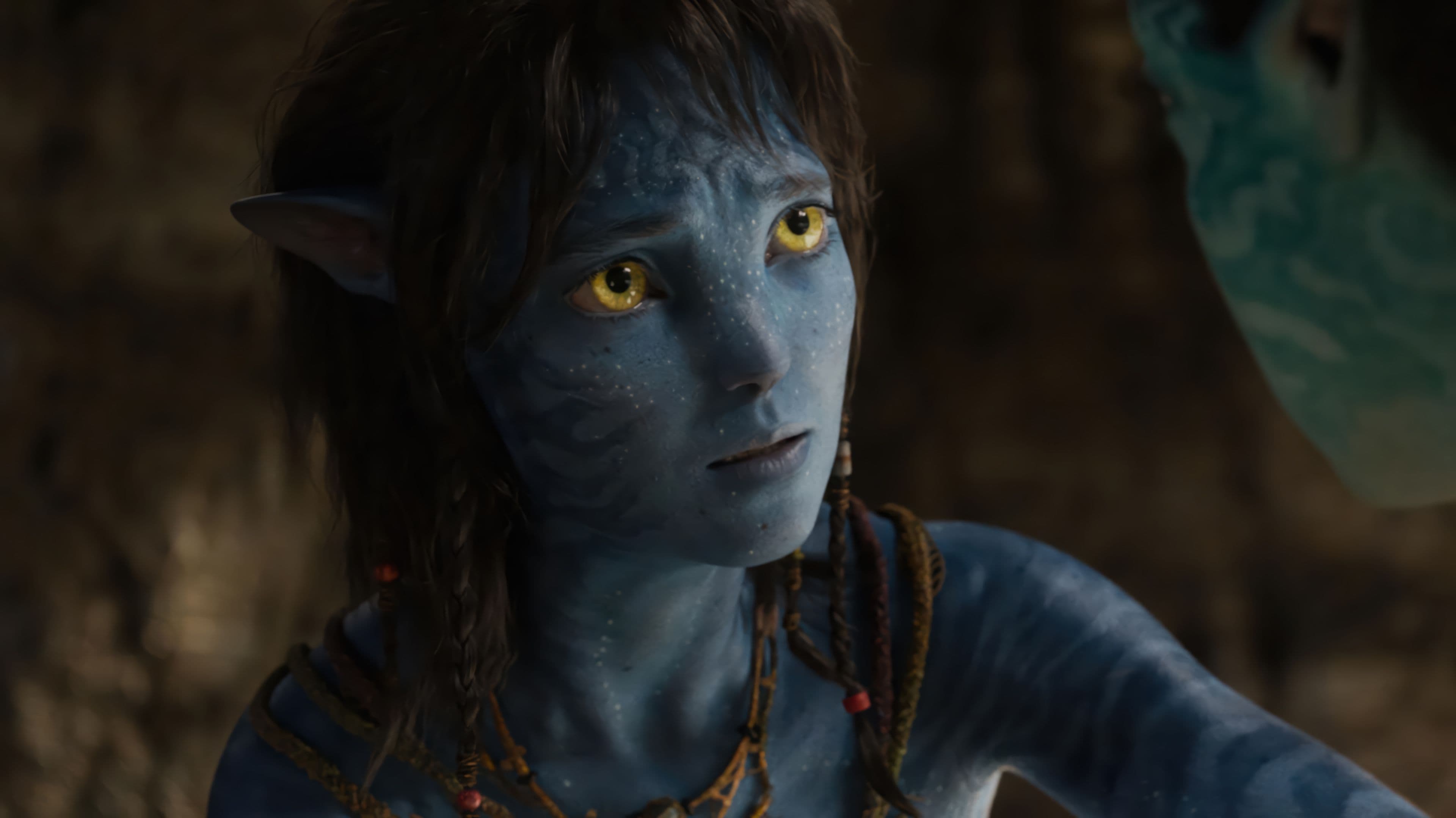 Saloni, Joint President